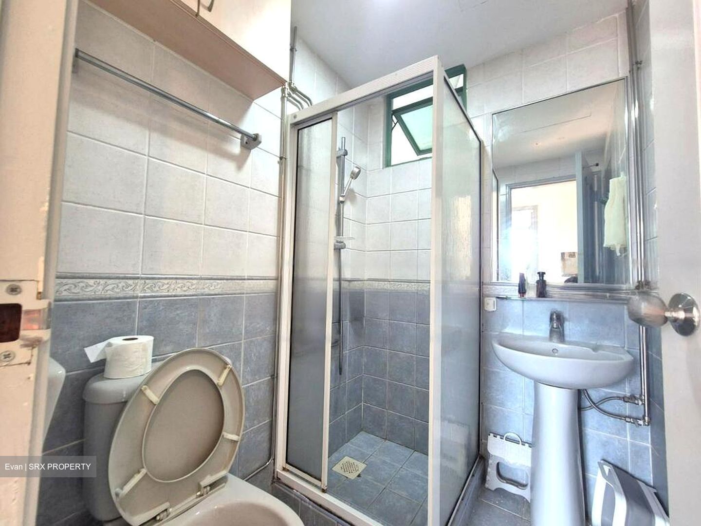 The Sunny Spring (D14), Apartment #480035951